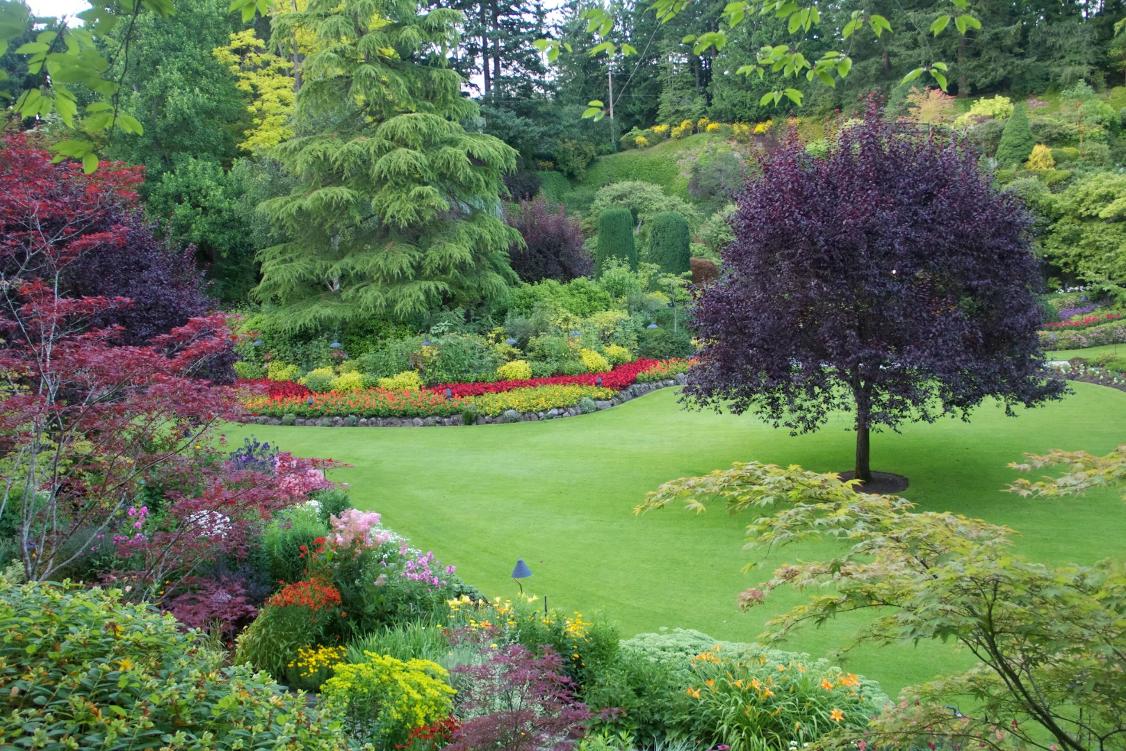 Lush landscaped garden by Guerriero Landscaping